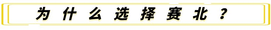 室內冰雕制作