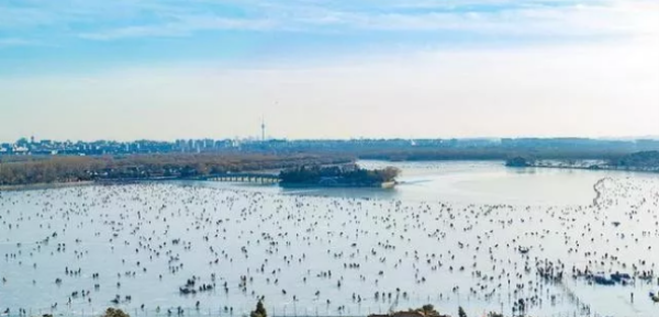 北京滑冰場